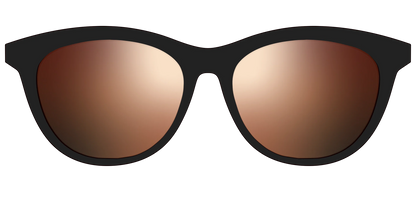 The Polarized Gold Reflective Sun Top