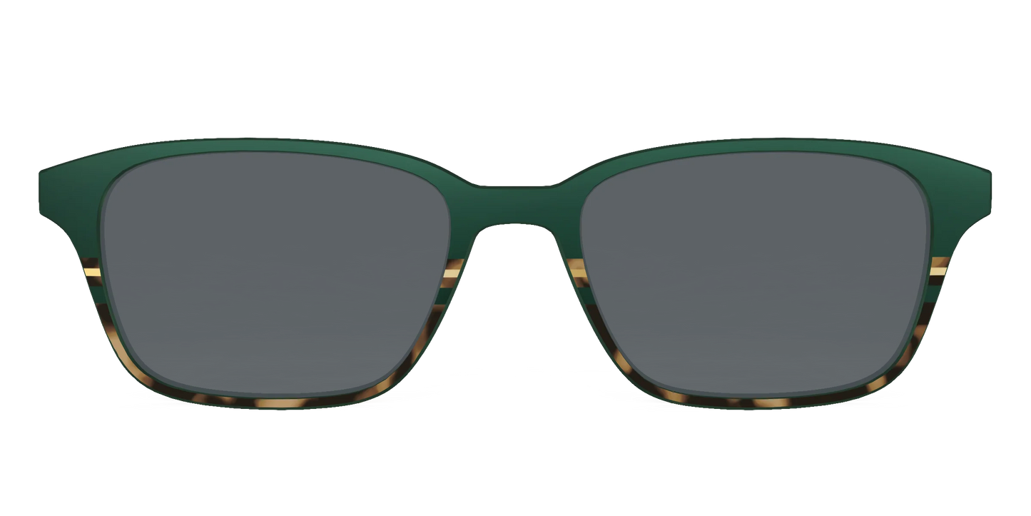 The Polarized Spruce Tortoise Sun Top