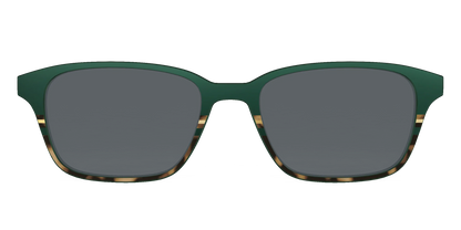 The Polarized Spruce Tortoise Sun Top