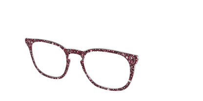 The Western Paisley