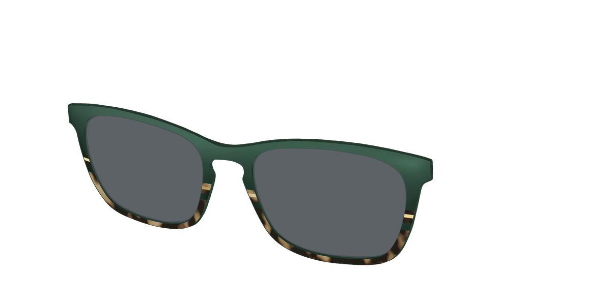 The Polarized Spruce Tortoise Sun Top