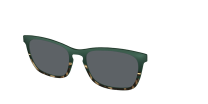 The Polarized Spruce Tortoise Sun Top