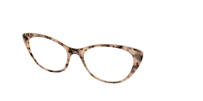 The Almond Tortoise with Gold Streaks