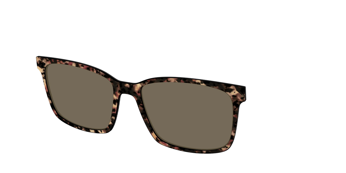 The Polarized Sienna Tortoise Sun Top