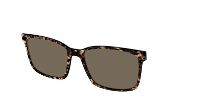 The Polarized Sienna Tortoise Sun Top