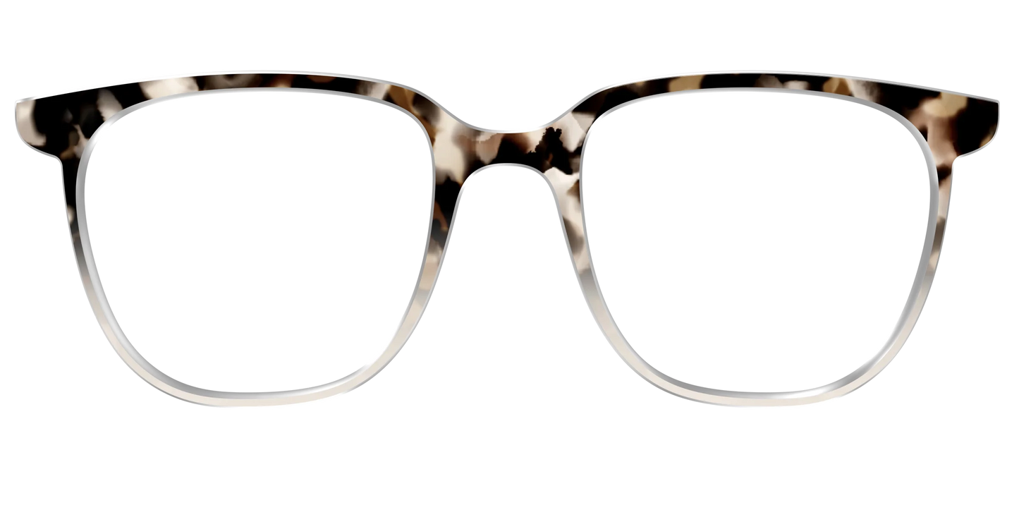 The Vanilla Latte Tortoise