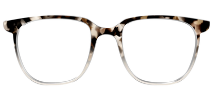 The Vanilla Latte Tortoise