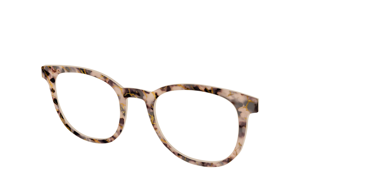 The Almond Tortoise with Gold Streaks
