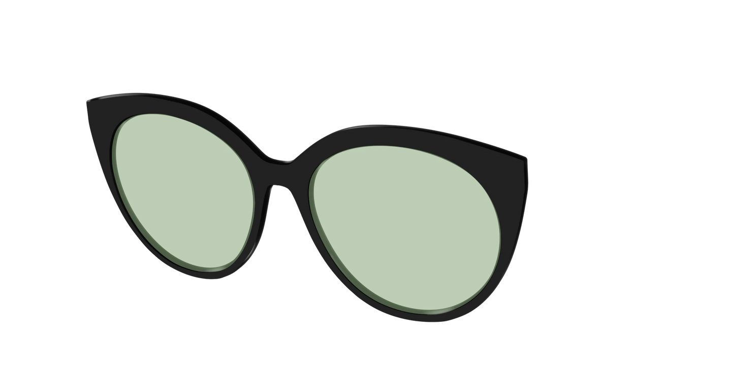 The Black With Sage Green Lens