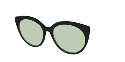 The Black With Sage Green Lens