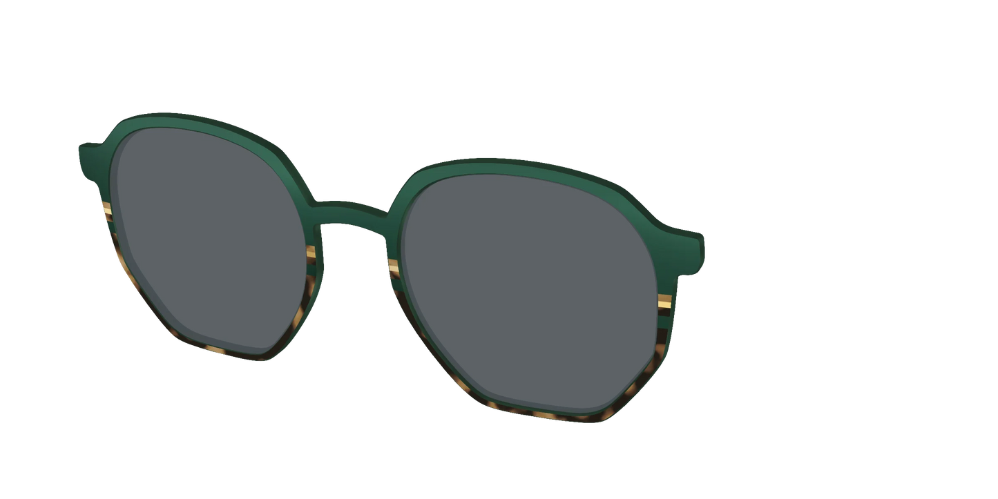 The Polarized Spruce Tortoise Sun Top