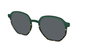 The Polarized Spruce Tortoise Sun Top