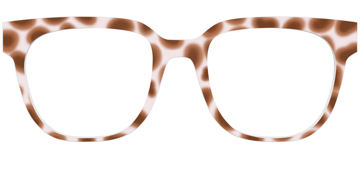 The Caffé Tortoise