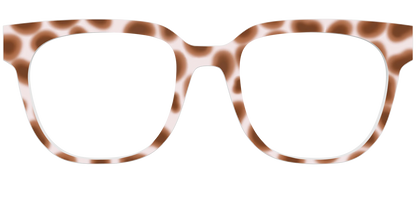 The Caffé Tortoise
