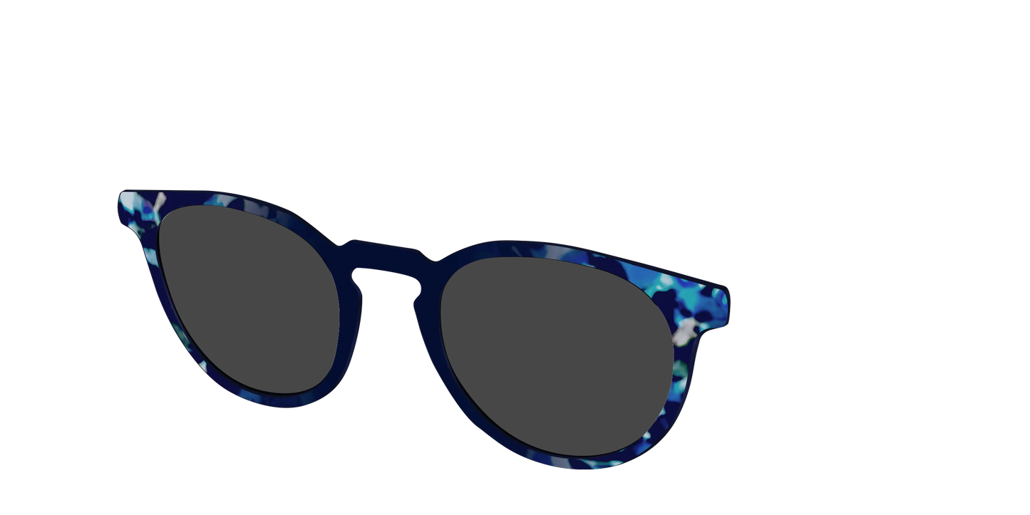 The Polarized Indigo Tortoise Sun Top