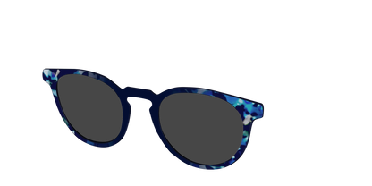 The Polarized Indigo Tortoise Sun Top