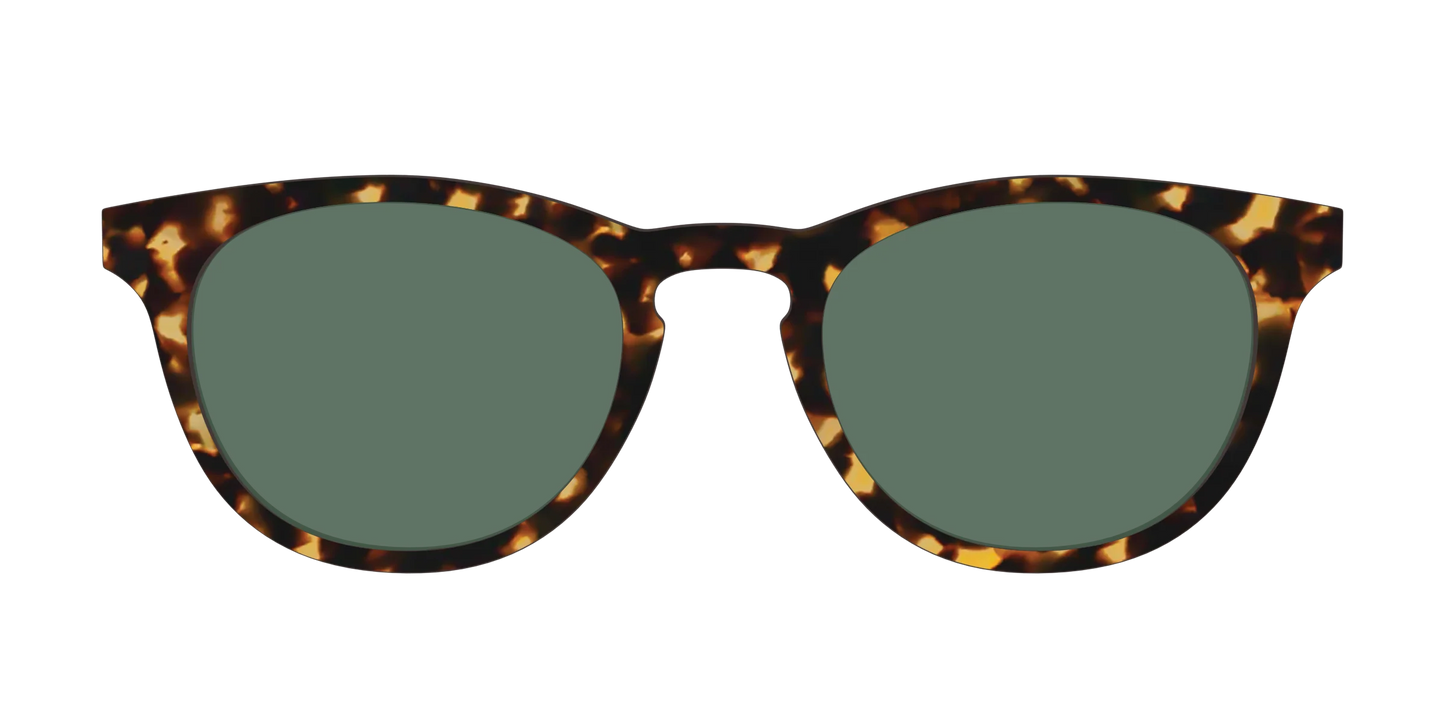 The Non-Polarized Green Tortoise Sun Top