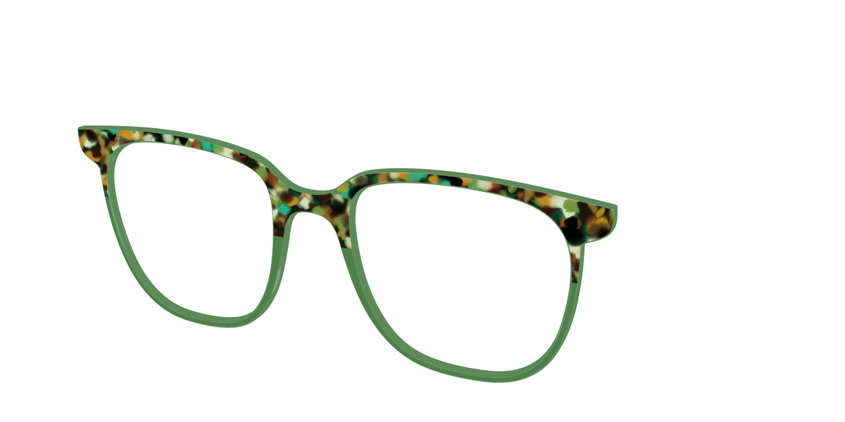 The Forest Tortoise Crystal Split