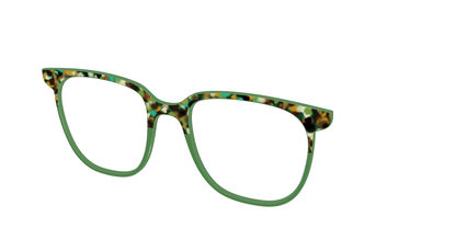 The Forest Tortoise Crystal Split
