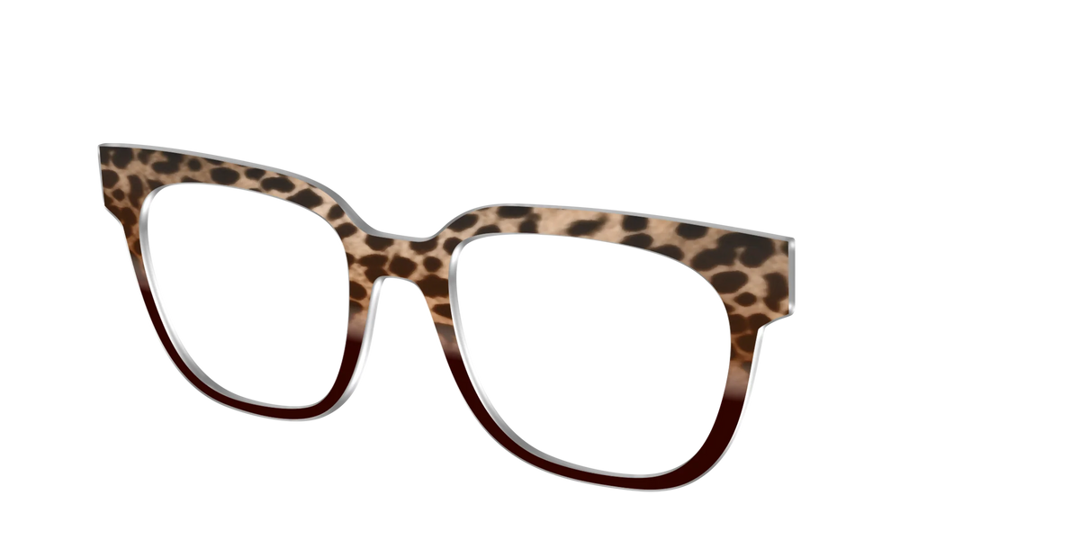 The Jungle Cat Tortoise