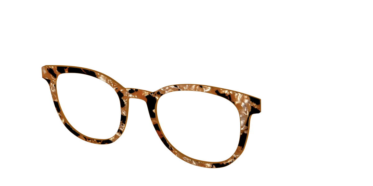 The Caramel Pearl Tortoise