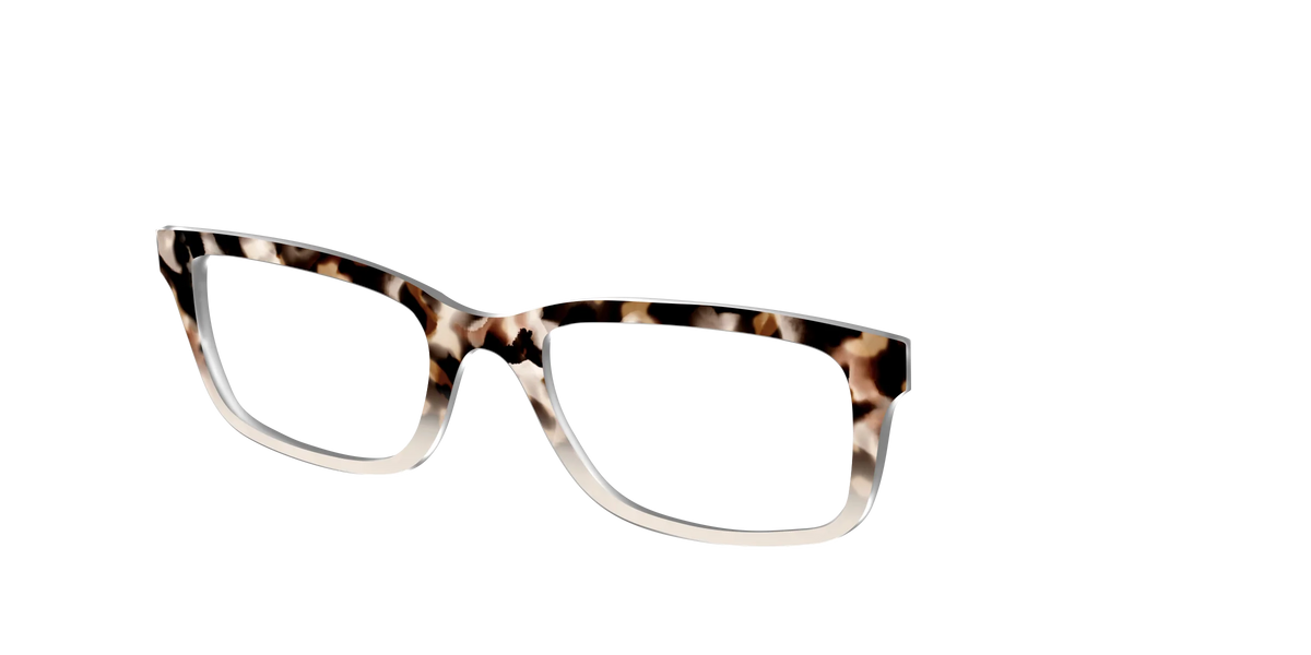 The Vanilla Latte Tortoise