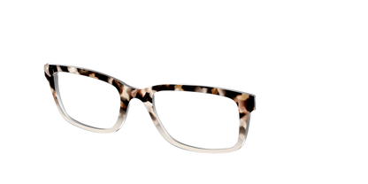 The Vanilla Latte Tortoise