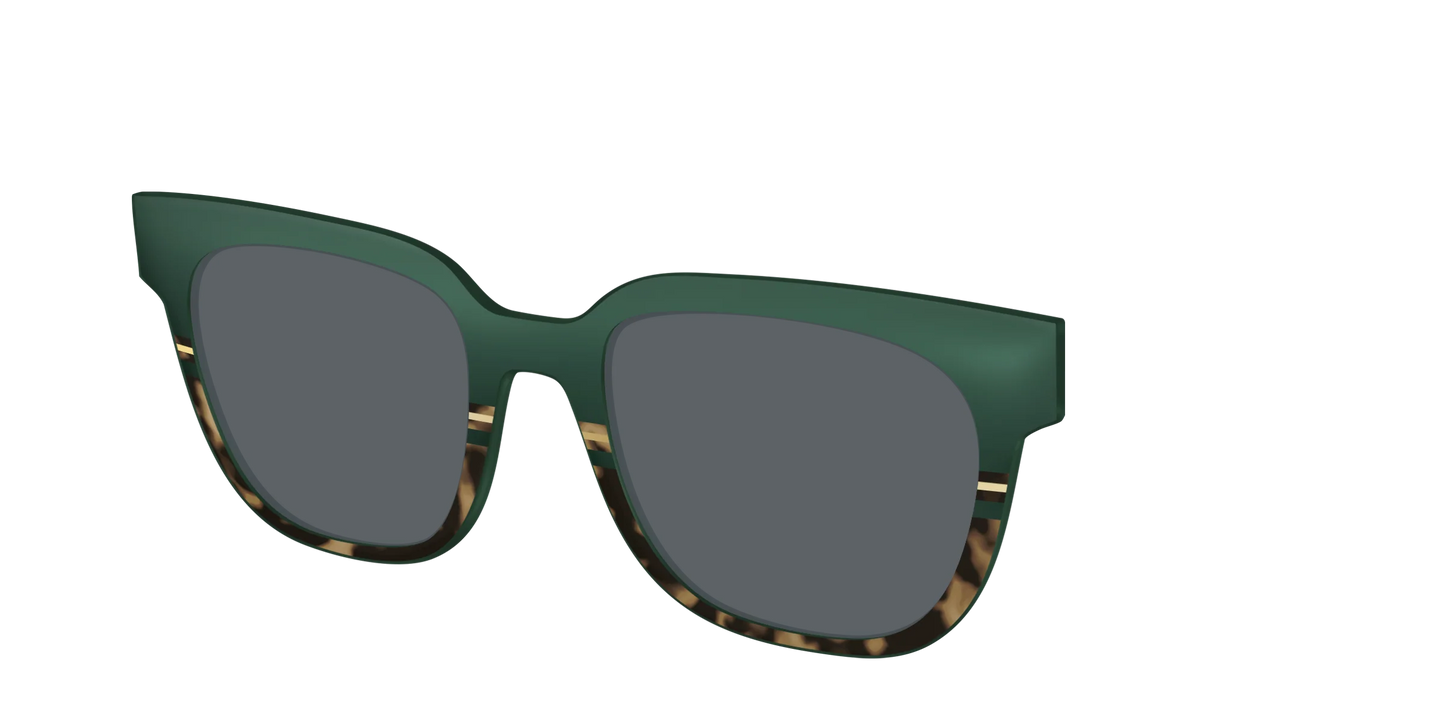 The Polarized Spruce Tortoise Sun Top