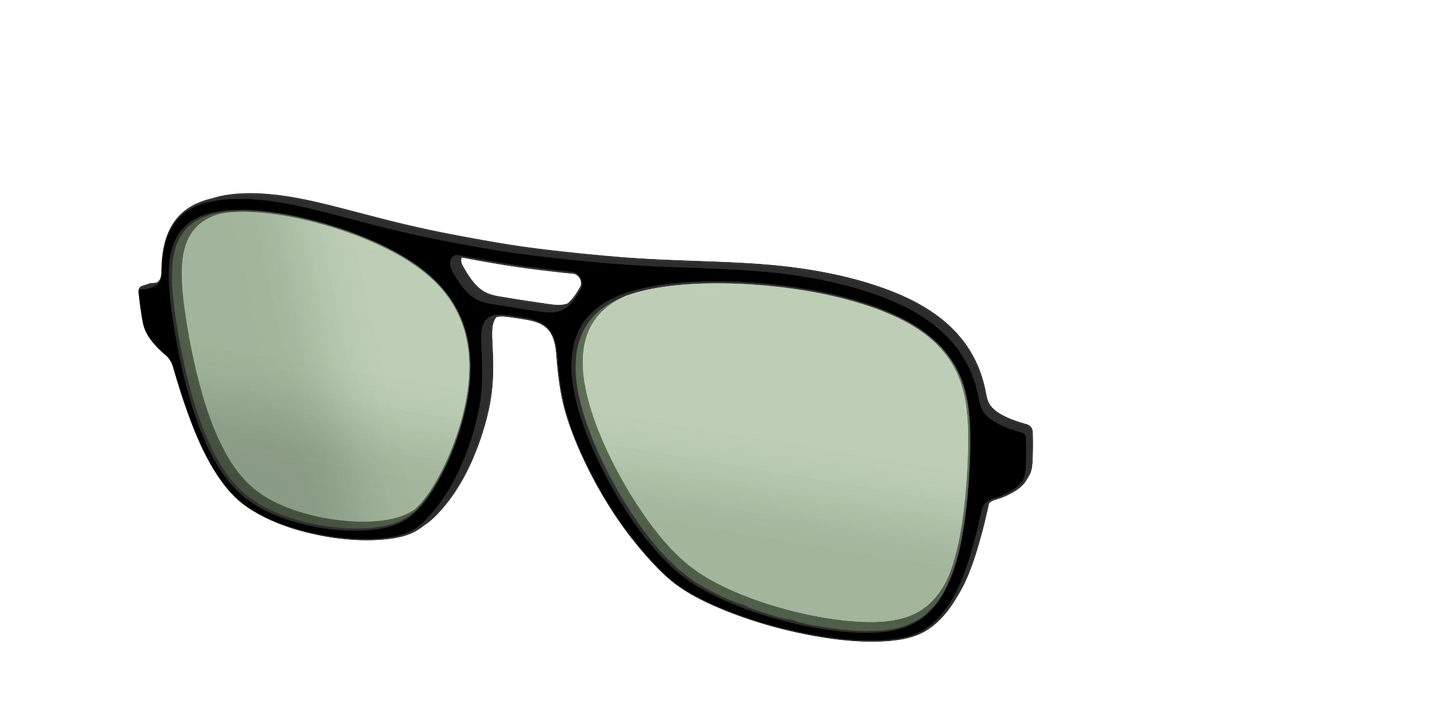 The Black With Sage Green Lens