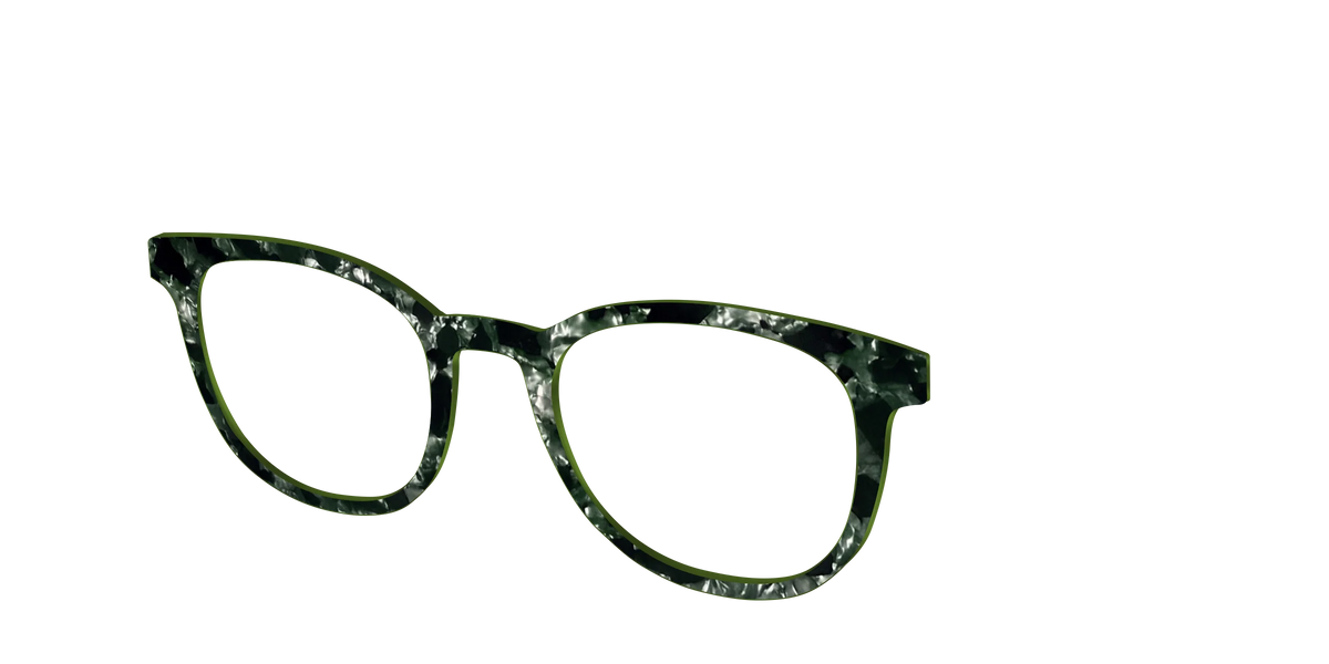 The Olive Pearl Tortoise