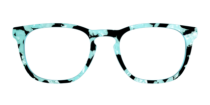 The Robin's Egg Pearl Tortoise