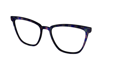 The Black Holographic Check