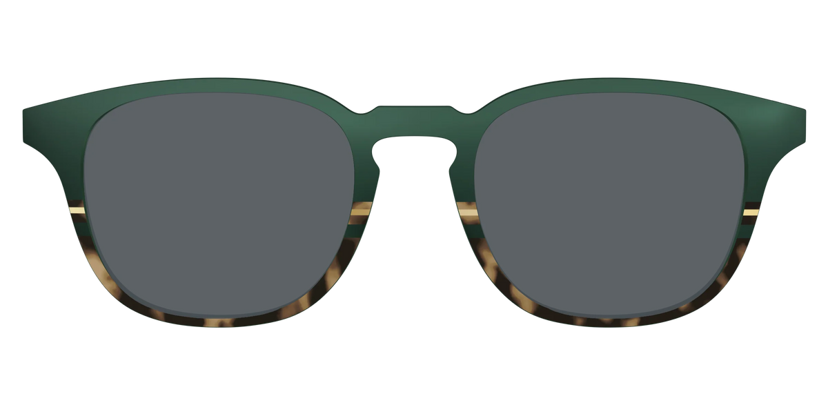 The Polarized Spruce Tortoise Sun Top