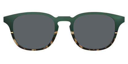 The Polarized Spruce Tortoise Sun Top