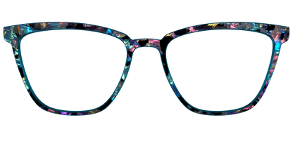 The Black Prismatic Pearl Tortoise
