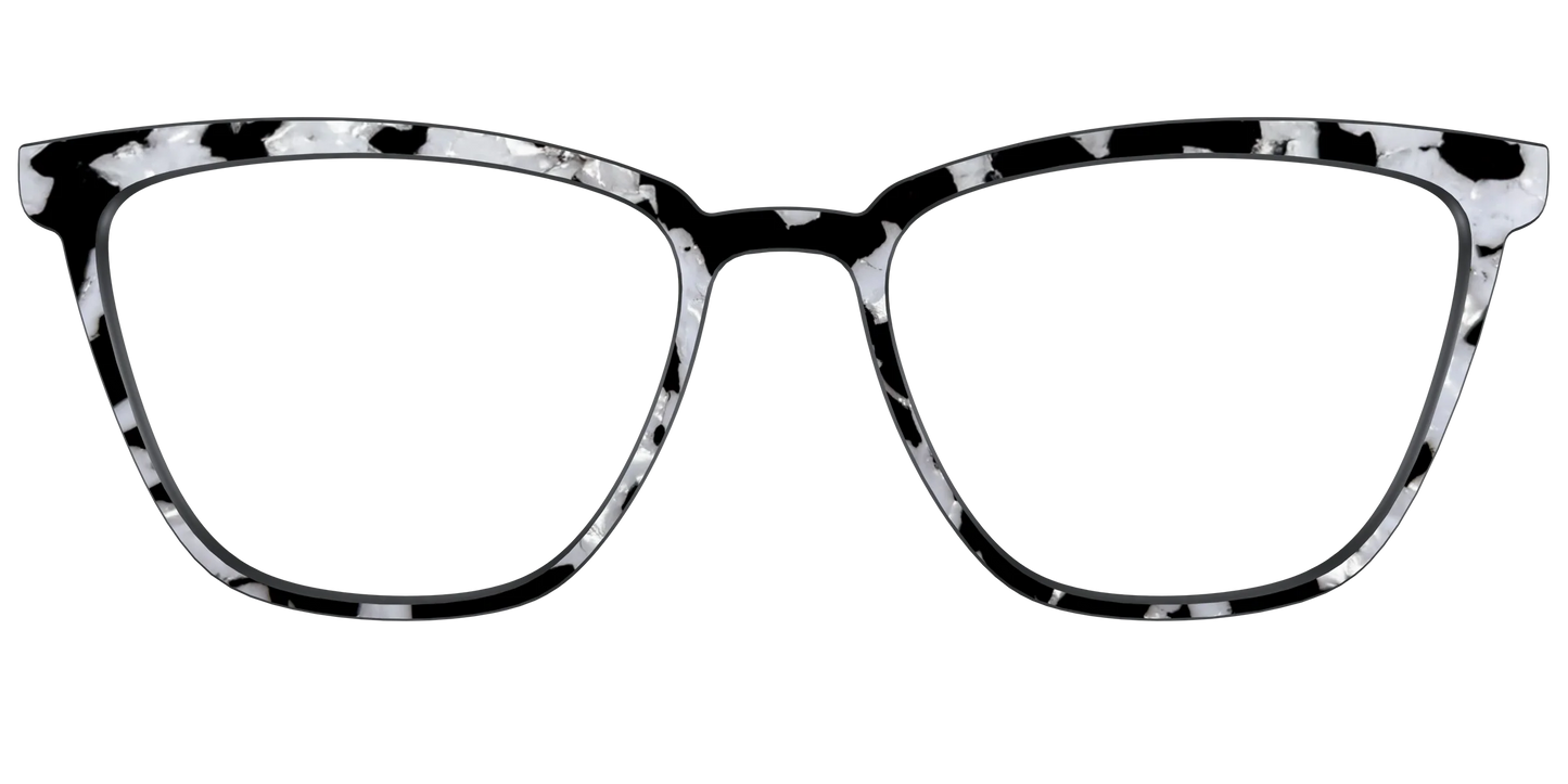 The Black & White Pearl Tortoise