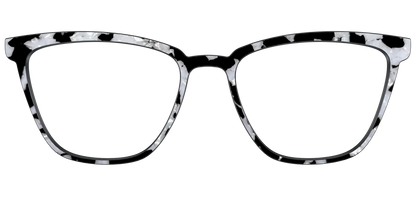 The Black & White Pearl Tortoise