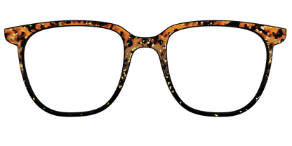 The Rustic Gold Leaf Tortoise
