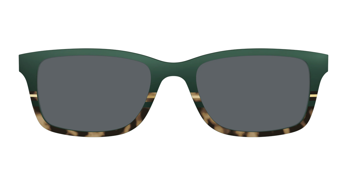 The Polarized Spruce Tortoise Sun Top