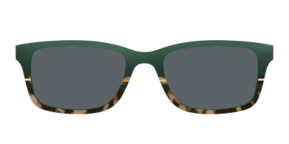 The Polarized Spruce Tortoise Sun Top