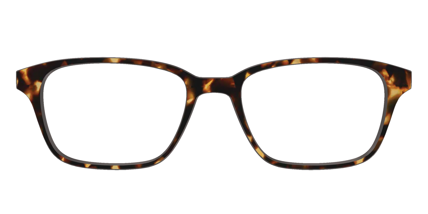 The Tortoise