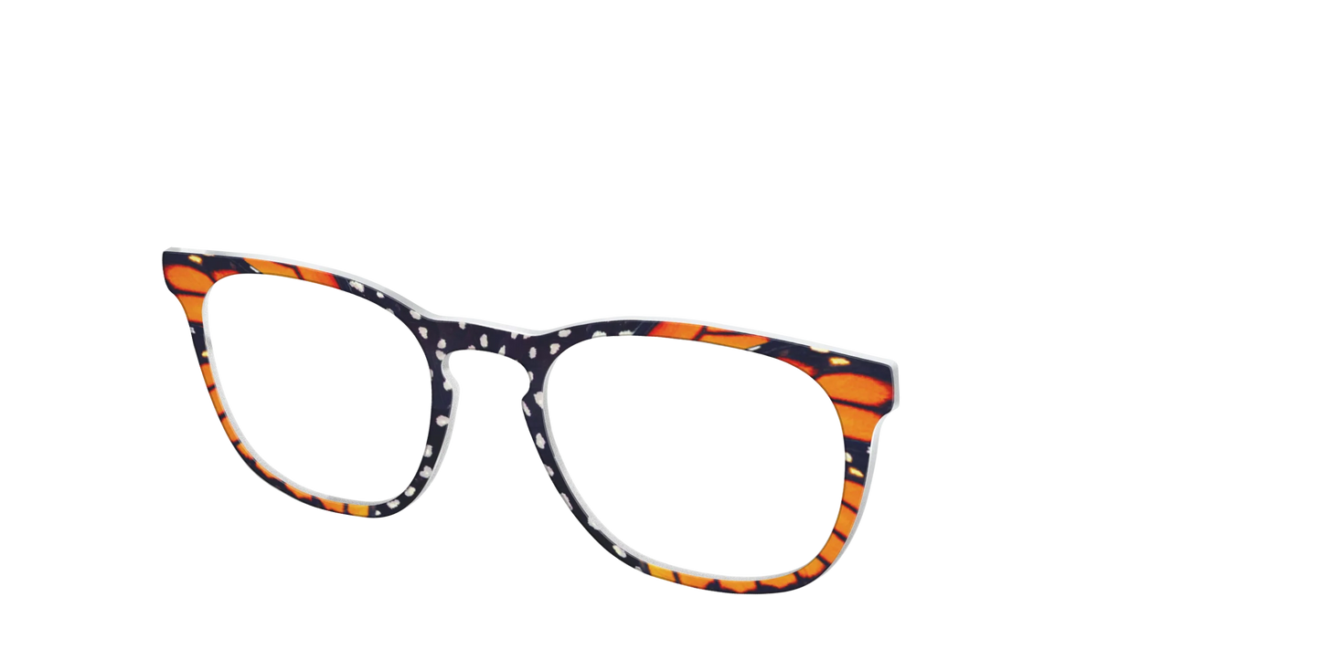 The Monarch Butterfly