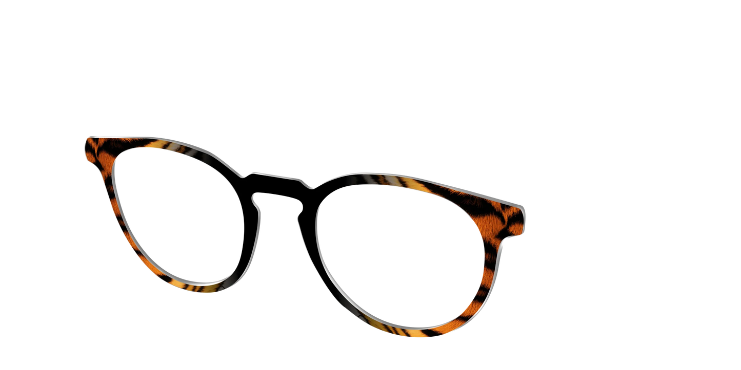 The Bengal Stripes