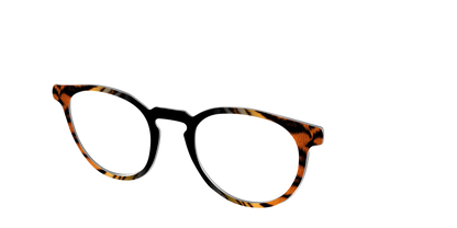The Bengal Stripes