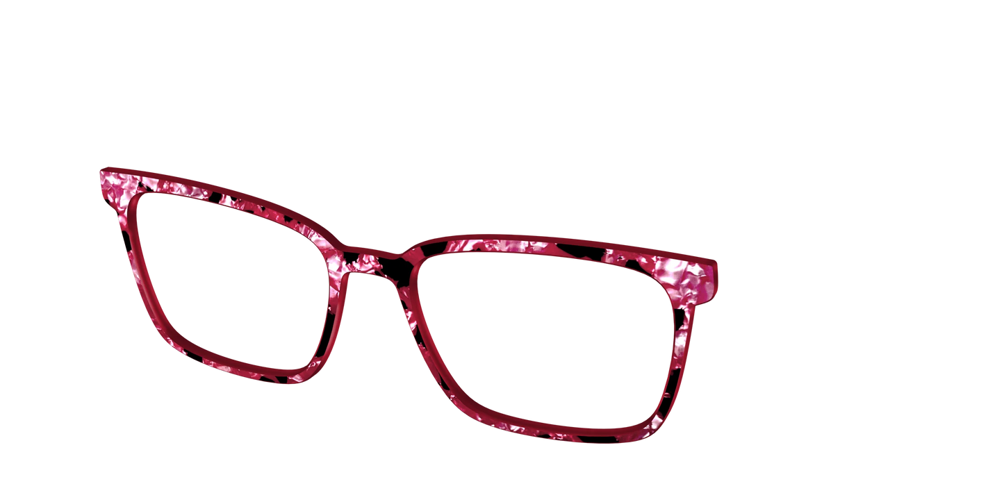 The Raspberry Pearl Tortoise