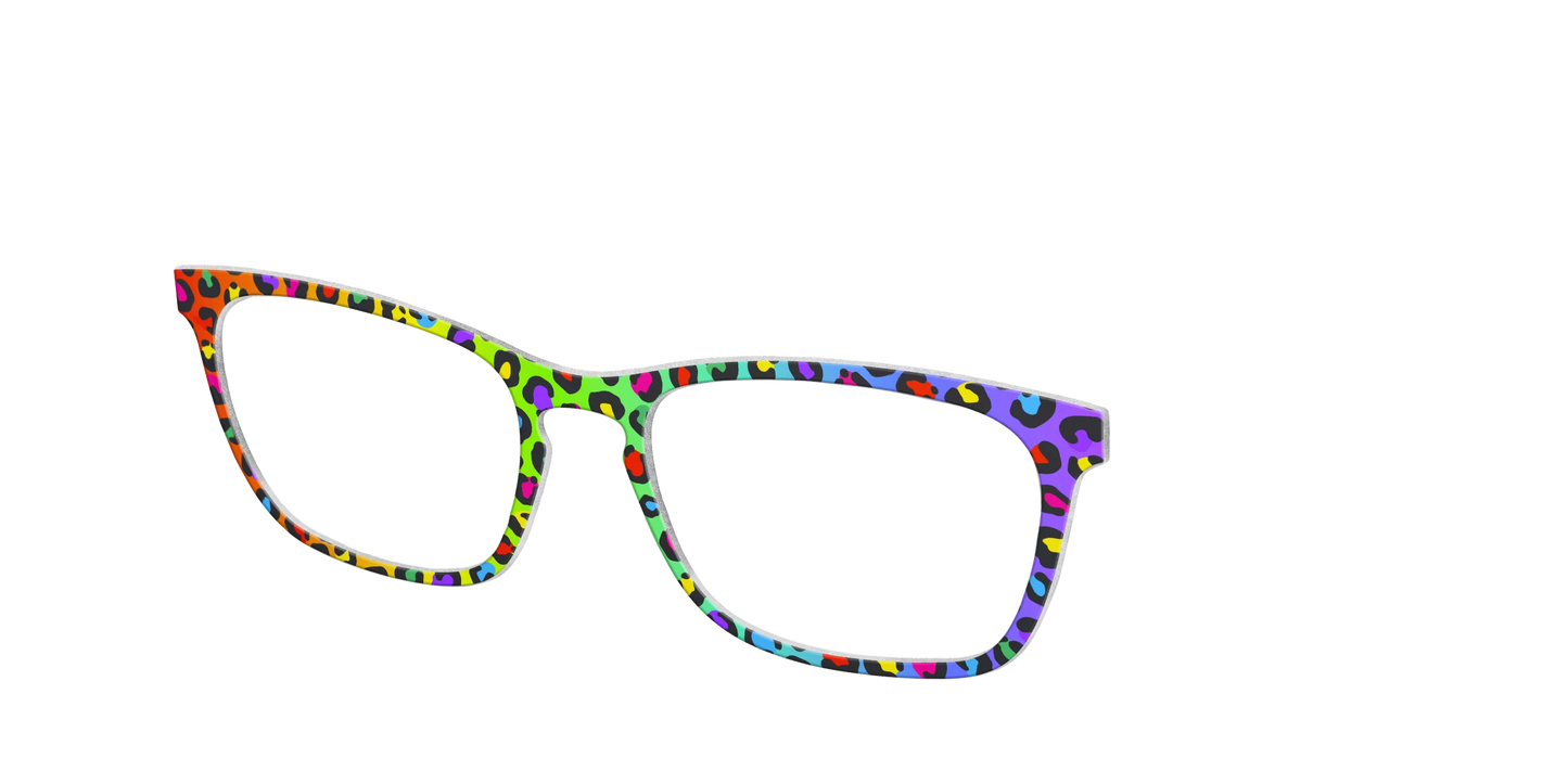 The Rainbow Cheetah