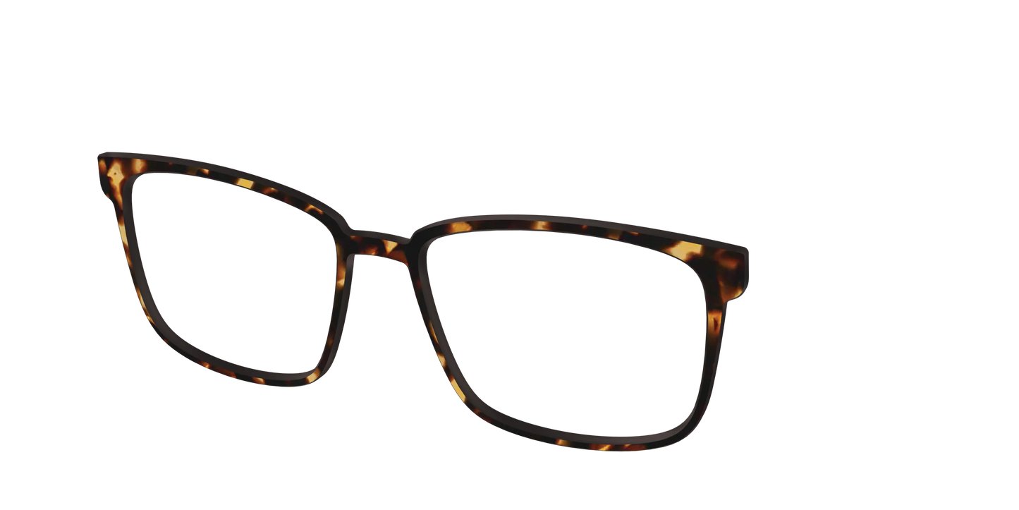 The Tortoise