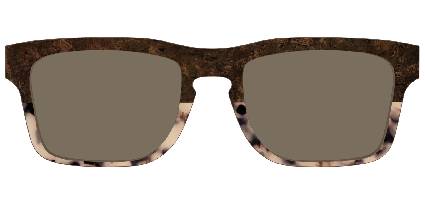 The Polarized Dark Oak Tortoise Split Sun Top