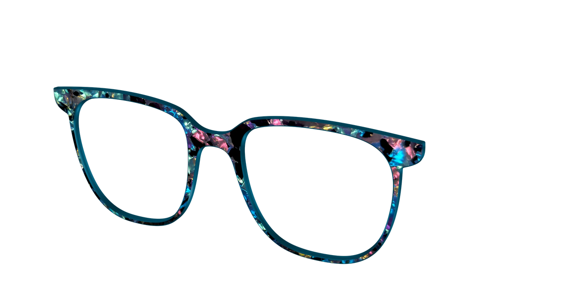 The Black Prismatic Pearl Tortoise