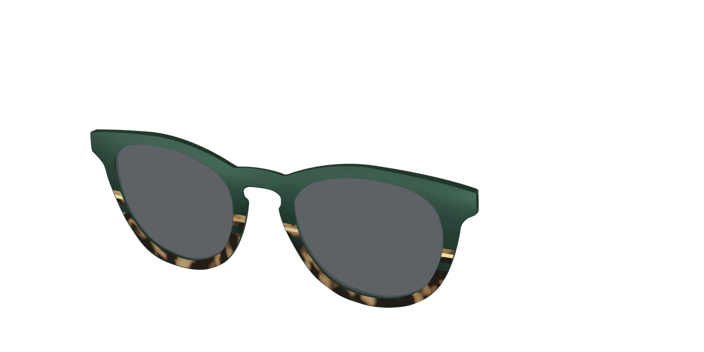 The Polarized Spruce Tortoise Sun Top